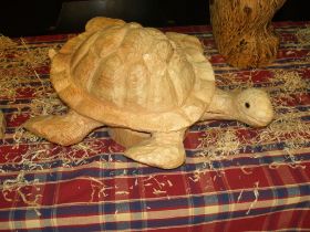 Herbert, die Wasserschildkröte